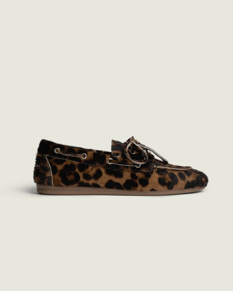  704 Leopard