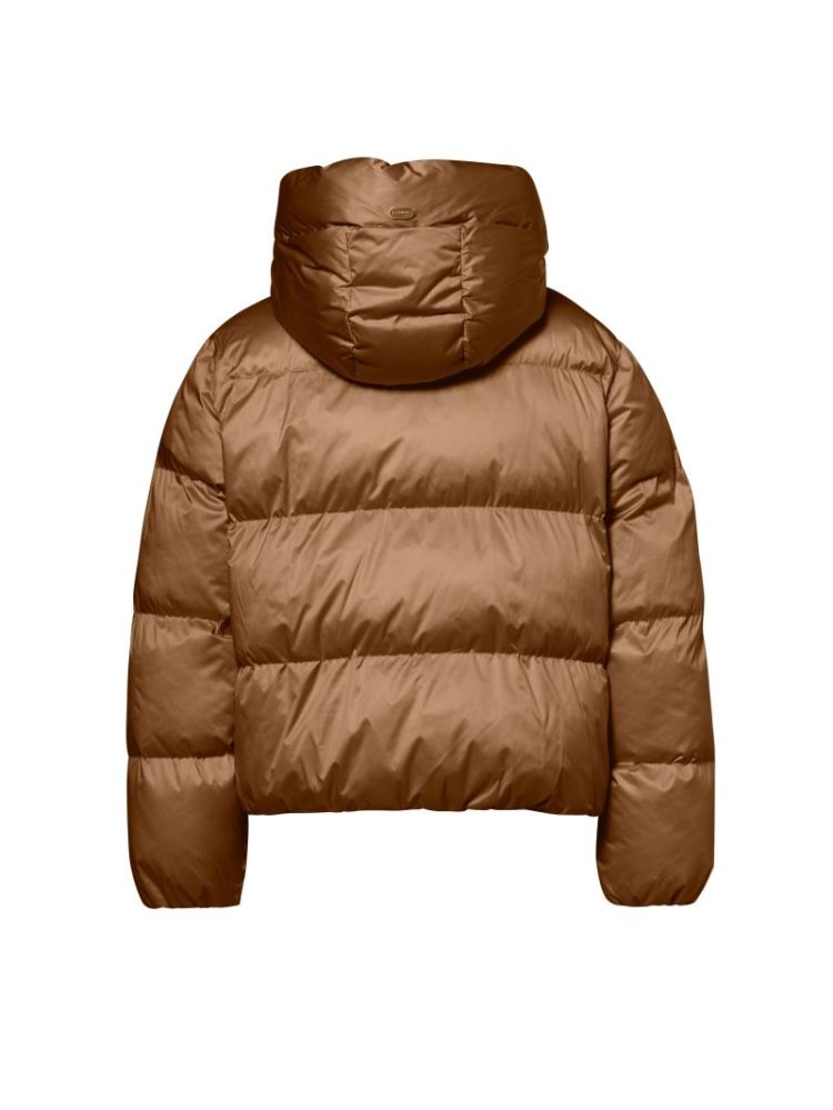 BM02510263 2930 Golden Brown