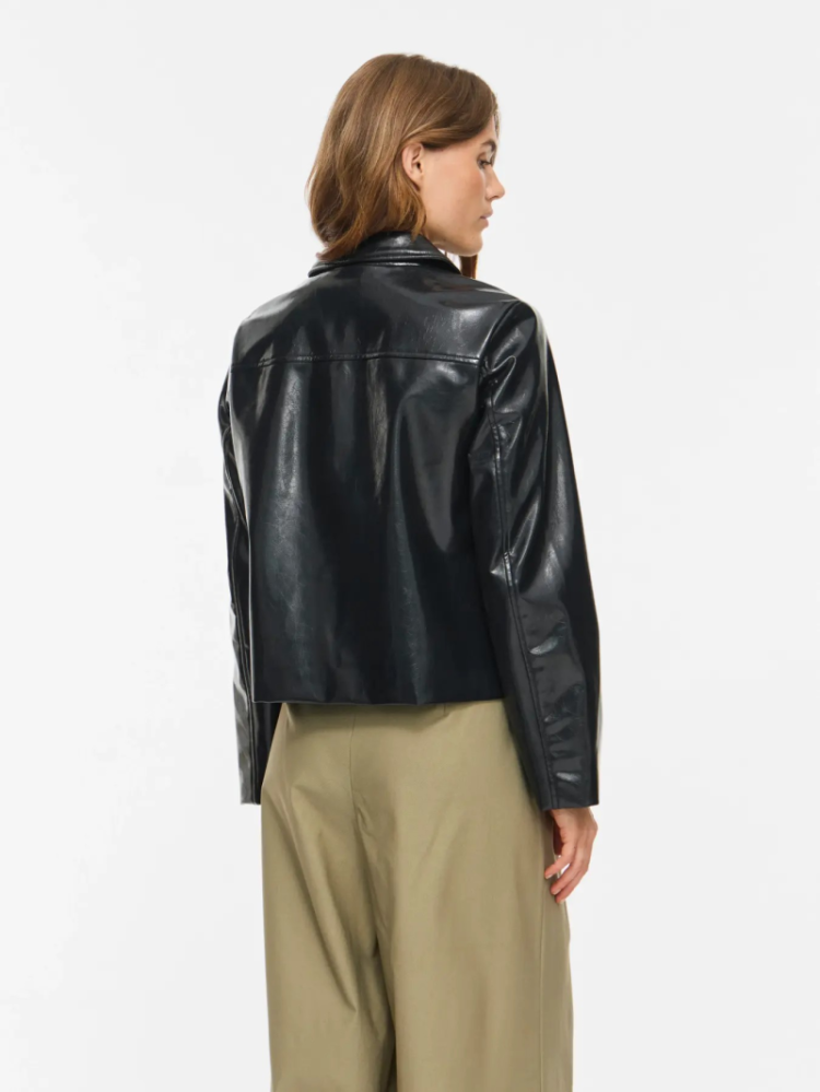 VISHINNY 5029701 Black Beauty