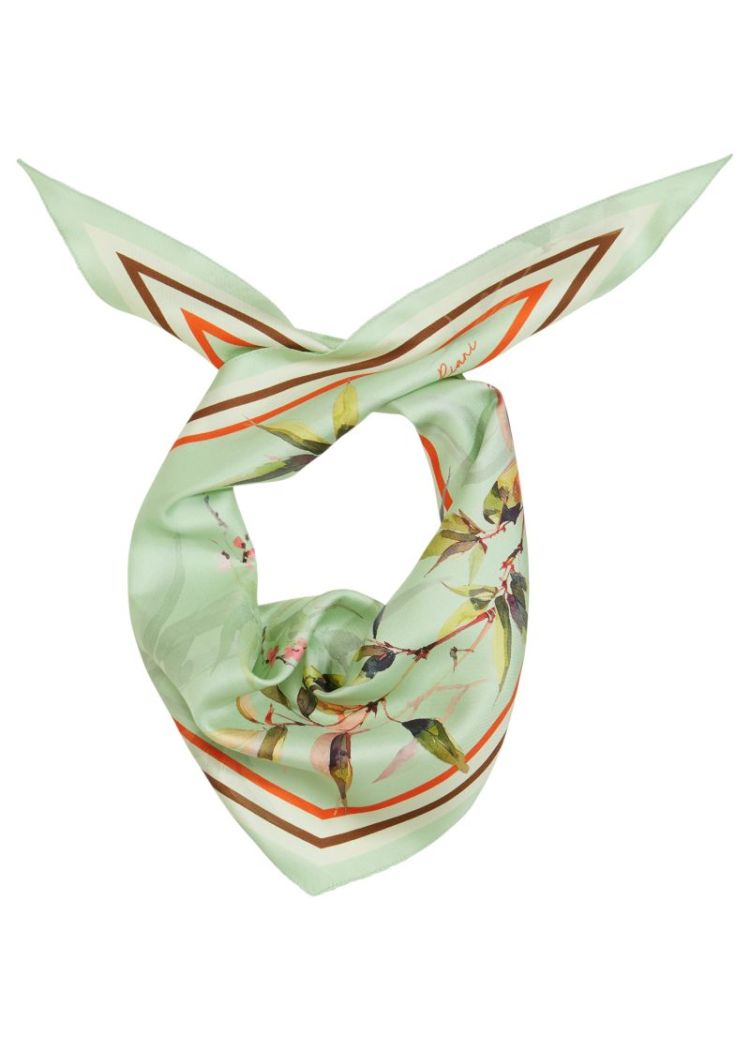  558 Matcha Patterned