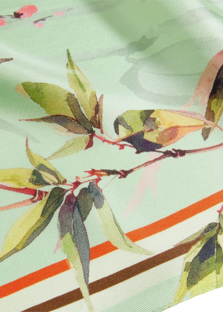  558 Matcha Patterned