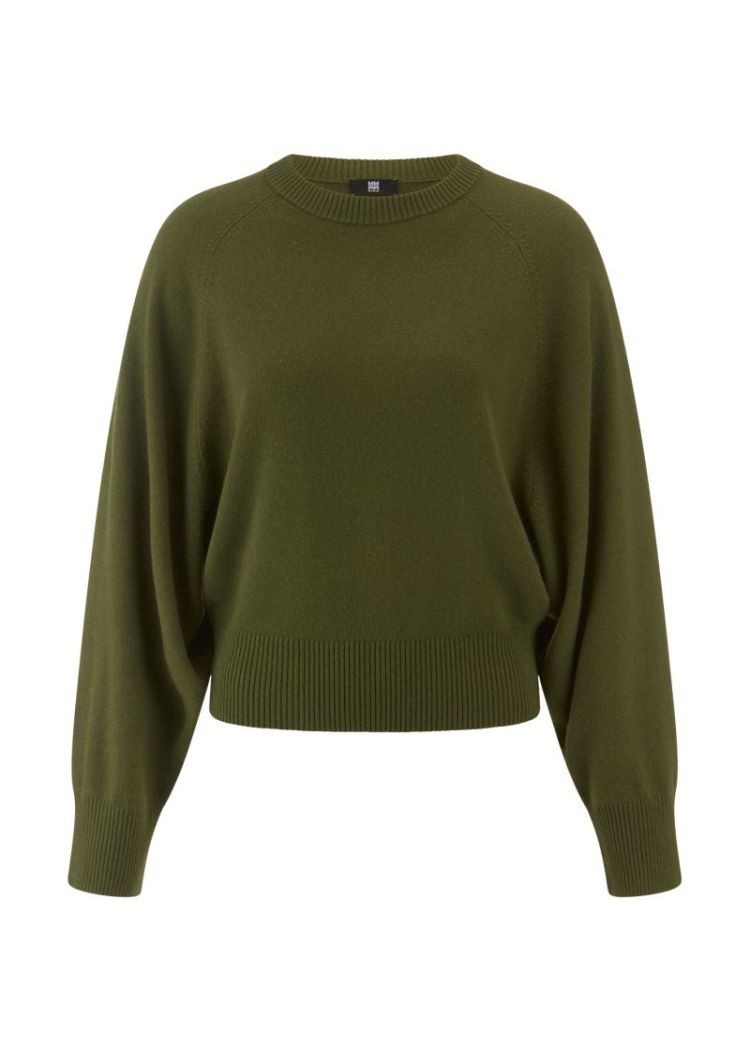  533 Olive
