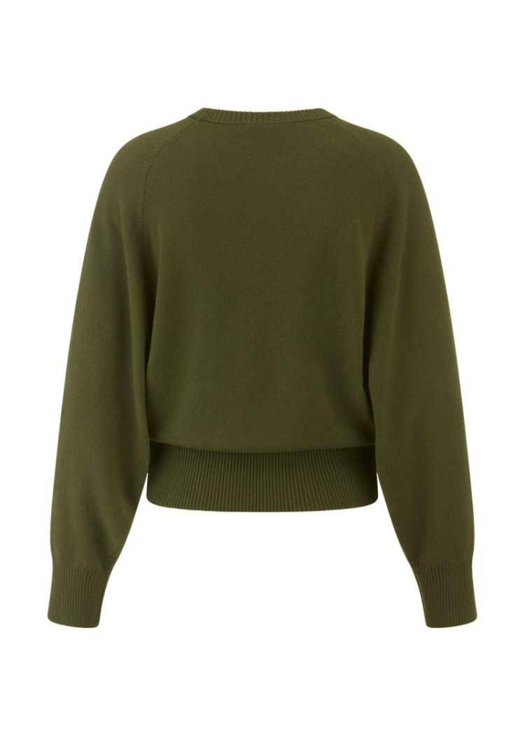  533 Olive