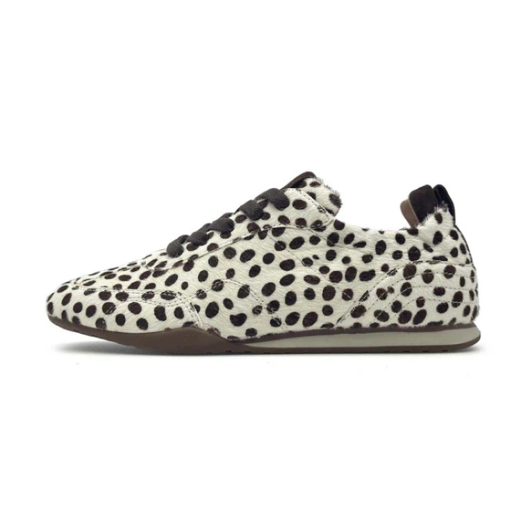 ANEMONE Dalmatian