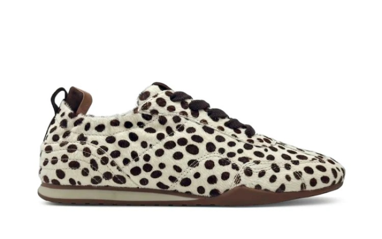 ANEMONE Dalmatian
