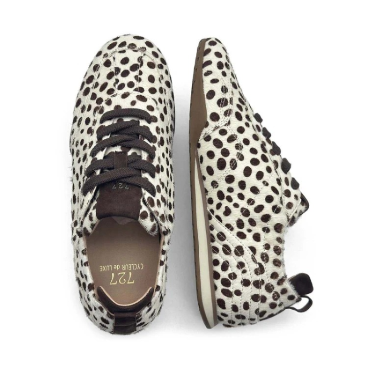 ANEMONE Dalmatian