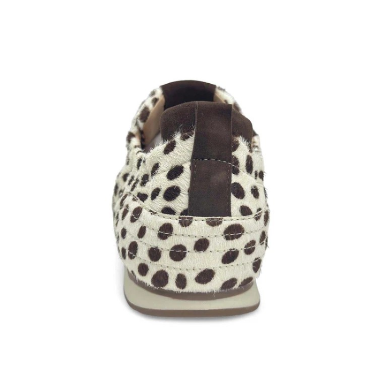 ANEMONE Dalmatian