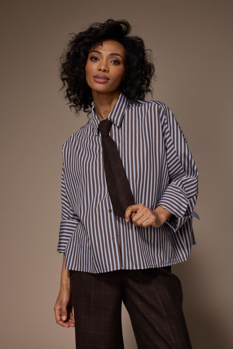  Brown/Light Blue Stripe